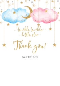177hpa 16 A Twinkle gender reveal Thank you white design preview