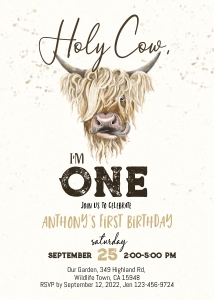 209hpa 01 holy cow highland cow 5x7: 209hpa 01 holy cow highland cow 5x7