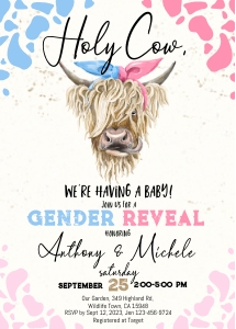 210hpa 07 gender reveal baby shower 5x7 blue pink design preview