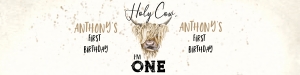209hpa 19 B bottle label holy cow ONE vignette design preview