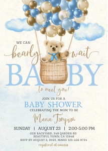 193hpa 06 bearly wait hotairballoon blue design preview