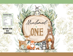 093hpa 30 B woodland chips bag white back design preview