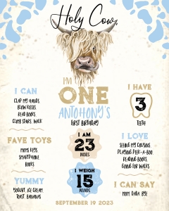 209hpa 22 D Holy Cow milestone stats 16x20 blue design preview