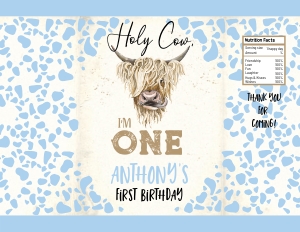 209hpa 57 BUNDLE holy cow 30G 19G 31G 32G 4in1 design preview