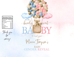 195hpa 30 A chips bag BABY gender reveal bear design preview