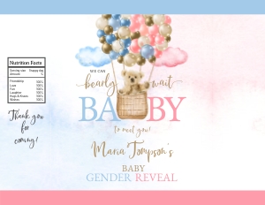 195hpa 30 C chips bag BABY gender reveal stripes design preview