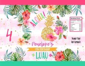 187hpa 30 A chips bag pineapple LUAU hawaiian design preview