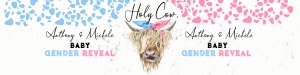 210hpa 12 G holy cow gender reveal bottle label 8x2: 210hpa 12 G holy cow gender reveal bottle label 8x2