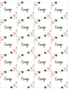 BLUSH JUICE BAR LABELS 2X2: BLUSH JUICE BAR LABEL 2X2