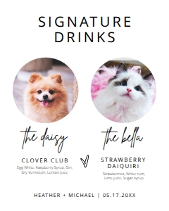 BSIG 2 PETS SIGNATURE DRINKS 8X10: BSIG 2 PETS SIGNATURE DRINKS 8X10, 16X20