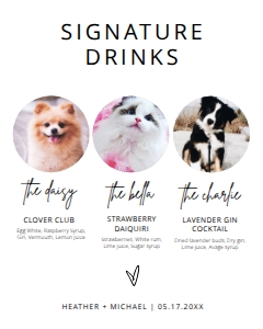 BSIG 3 PETS SIGNATURE DRINKS 16X20: BSIG 3 PETS SIGNATURE DRINKS 8X10, 16X20