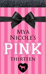 VS Pink Gift Bag design preview