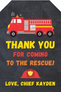Firefighter_TY_tag_ff20: Fireman_TY_tag_ff20