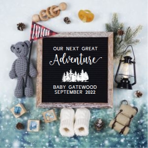Winter Camping HIking Adventure Pregnancy Announcement: Winter Camping HIking Adventure Pregnancy Announcement