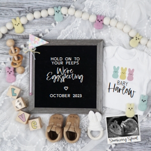 (Sonogram) Boho Peeps Easter Pregnancy Announcement (Eggspecting): Boho Peeps Easter Pregnancy Announcement (Eggspecting)