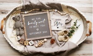 Boho Bassinet Pregnancy Announcement (Bearly Wait): Boho Bassinet Pregnancy Announcement (Bearly Wait)