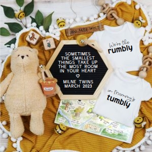 Winnie the Pooh Twins Pregnancy Announcement (Rumbly in Tumbly): Winnie the Pooh Twins Pregnancy Announcement (Rumbly in Tumbly)