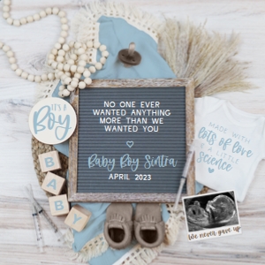 (Sonogram) IVF Boy Neutral Browns & Blue Pregnancy Announcement (Anything More): IVF Boy Neutral Browns & Blue Pregnancy Announcement (Anything More)