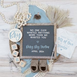 IVF Boy Neutral Browns & Blue Pregnancy Announcement (Anything More): IVF Boy Neutral Browns & Blue Pregnancy Announcement (Anything More)