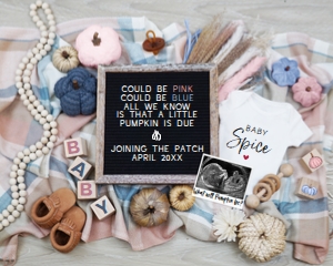Boho Blue & Pink Autumn Pregnancy Announcement (Could Be) design preview