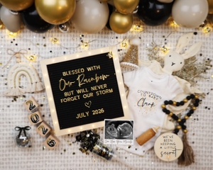 (Sonogram) New Years Eve Rainbow Pregnancy Announcement 14 (Our Rainbow): New Years Eve Rainbow Pregnancy Announcement 14 (Our Rainbow)