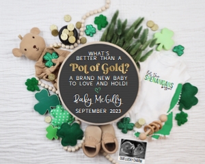 Shamrocks St Patrick's Day Pregnancy Announcement (Pot of Gold) design preview