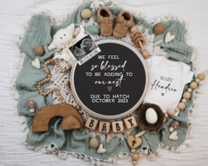 (Sonogram) Lamb Lovey Boho Christian Easter Pregnancy Announcement (Blessed Nest): Lamb Lovey Boho Christian Easter Pregnancy Announcement (Blessed Nest)