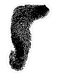 Wild One - Pin the Tail Game - Tail 8.5x11 - For 24x36 & 20x30: Wild One - Pin the Tail Game