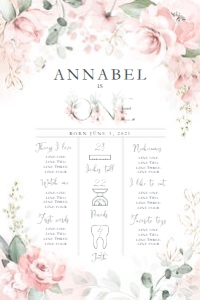 Little Miss Onederful - Birthday Board design preview