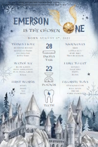 Wizard Birthday - Milestone Chart - Winter design preview