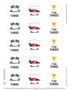 Racer Birthday - Age 3 - Party Circles - 2in - Print, Cut or Hole Punch: Racer Birthday - Party Circles - 2in