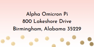 Mailing Label Gradient Confetti: Gradient Confetti Sorority Packet- Digital