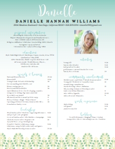Resume Fresh Paisley- Single Page: Fresh Paisley Sorority Packet- Digital
