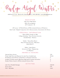 Resume Gradient Confetti- 2 Page: Gradient Confetti Sorority Packet- Digital