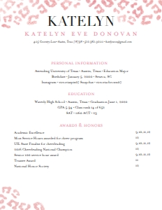 Resume Cheetah Glimmer- 2 Page: Cheetah Glimmer Sorority Packet- Digital