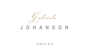 #062-13 Place Card design preview
