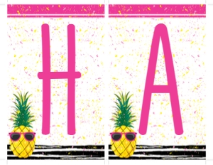 SEM-Pineapple Hot Pink Banner design preview