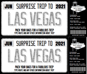 SEM-License Plate Voucher–SURPRISE Las Vegas Silver GLITTER design preview