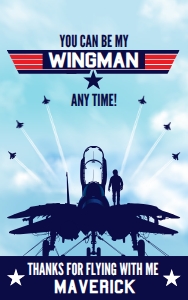 SEM-Top Gun-Fighter Pilot-Tag: SEM-Top Gun-Fighter Pilot-PARTY SET