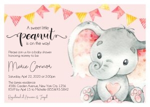BABYINV0004: BABYINV0004