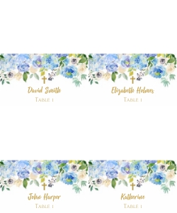 BAPPC001 design preview