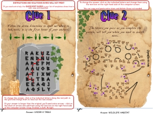THC1810b: Magic Clues 1 & 2: THC1810: Magical Garden Treasure Hunt