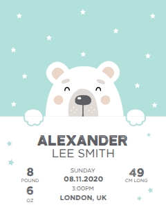 Birth Stats - Bear design preview