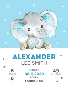 Birth Stats - Elephant Boy 8x10 design preview