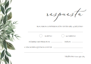 106 RSVP EUCALIPTUS: 5694247960737