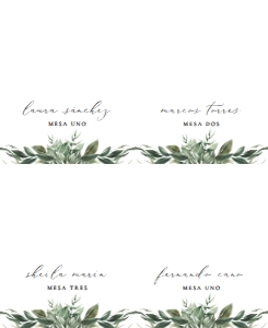 5595958608033 design preview