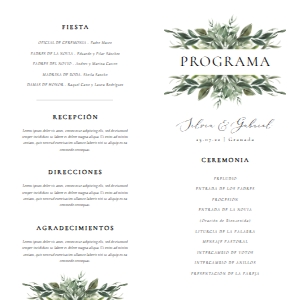 106 PROGRAMA EUCALIPTO 10X20: 5694247960737