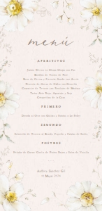 201 MENU 9.5X19.5 DAISY: 6570911891640