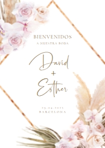 6192974528696 design preview