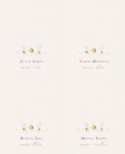 201 TARJETAS DAISY: 6570911891640